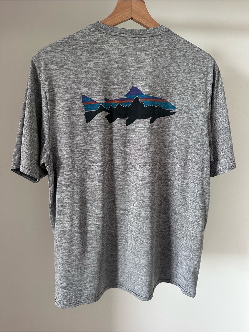 Patagonia Men's Capilene® Cool Daily Fish Graphic T-Shirt - Picture 3 of 4